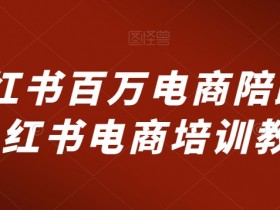 小红书百万电商陪跑，小红书电商培训教程
