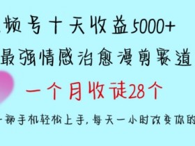 十天收益5000+，多平台捞金，视频号情感治愈漫剪，一个月收徒28个，小白一部手机轻松上手【揭秘】