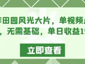 AI制作田园风光大片，单视频点赞超10w，无需基础，单日收益1900+【揭秘】