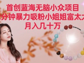 首创蓝海无脑小众项目，2分钟暴力吸粉小姐姐富太太，月入几十万【揭秘】