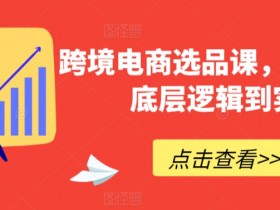 跨境电商选品课，从选品到底层逻辑到实战