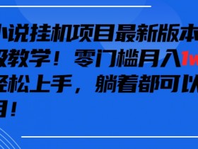 抖音最新小说挂机项目，保姆级教学，零成本月入1w+，小白轻松上手【揭秘】
