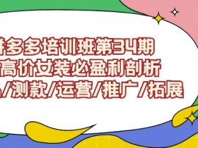 拼多多培训班第34期：做高价女装必盈利剖析选品/测款/运营/推广/拓展