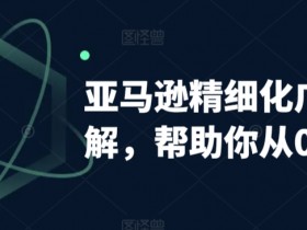 亚马逊精细化广告详解，帮助你从0到1，自动广告权重解读、手动广告打法详解