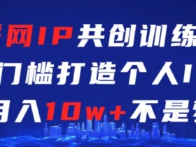 互联网IP共创训练课，零门槛零基础打造个人IP，月入10w+不是梦【揭秘】