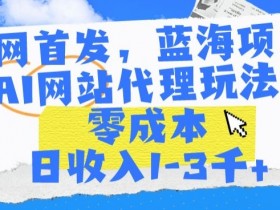 全网首发，蓝海项目，AI网站代理玩法，零成本日收入1-3千+【揭秘】