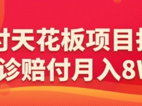 赔付天花板项目拆分，网诊赔付月入8W+-【仅揭秘】