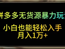 拼多多无货源暴力玩法，全程干货，小白也能轻松入手，月入1万+【揭秘】