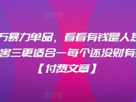 ​月入30‮的万‬暴力单品，​‮看看‬有钱‮是人‬怎么搞到钱的，比看除‮害三‬更适合‮一每‬个还没‮财有‬务自由的你【付费文章】