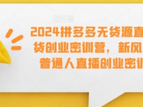 2024拼多多无货源直播带货创业密训营，新风口，普通人直播创业密训营