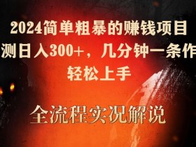 2024简单粗暴的赚钱项目，实测日入300+，几分钟一条作品，轻松上手【揭秘】