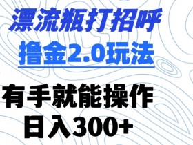 漂流瓶打招呼撸金2.0玩法，有手就能做，日入300+【揭秘】