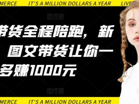 AI图文带货全程陪跑，新手必看，图文带货让你一天多赚1000元