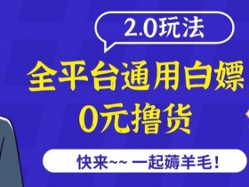 外面收费2980的全平台通用白嫖撸货项目2.0玩法【仅揭秘】