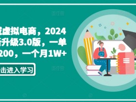 私域虚拟电商，2024全新升级3.0版，一单50-200，一个月1W+【揭秘】