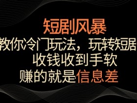 短剧风暴，教你冷门玩法，玩转短剧，收钱收到手软【揭秘】