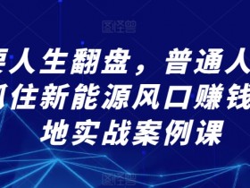 想要人生翻盘，普通人该如何抓住新能源风口赚钱，落地实战案例课