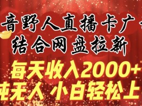 每天收入2000+，抖音野人直播卡广场，结合网盘拉新，纯无人，小白轻松上手【揭秘】