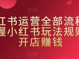 小红书运营全部流程，掌握小红书玩法规则，开店赚钱