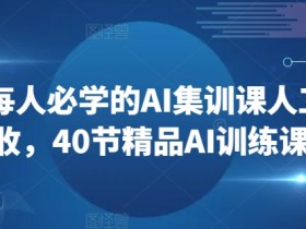 2024每人必学的AI集训课人工智能创收，40节精品AI训练课程