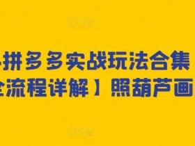 2024拼多多实战玩法合集【0-1全流程详解】照葫芦画瓢