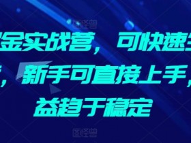 AI掘金实战营，可快速生成文章，新手可直接上手，收益趋于稳定