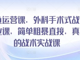 闲鱼运营课，外科手术式战术创业课，简单粗暴直接，真正的战术实战课