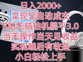 日入2000+，实现全自动成交，B站无脑挂机躺平3.0，当天操作当天见收益，实现睡后有收益【揭秘】