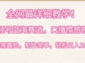 全网最详细教学，视频号蓝海赛道，口播情感视频，无需露脸，制作简单，轻松实现日入1000+【揭秘】