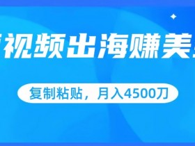 短视频出海赚美金，复制粘贴批量操作，小白轻松掌握，月入4500美刀【揭秘】