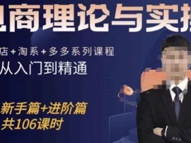 电商理论与实操从入门到精通，抖店+淘系+多多：新手+进阶