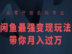 从零开始走向专业，闲鱼最强变现玩法带你月入过万