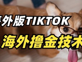 抖音海外版tiktok撸金技术，这个风口行业，赚钱真的不难【揭秘】