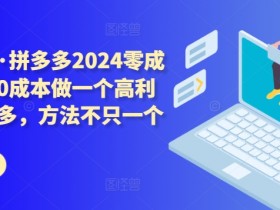拼多多2024零成本包起，0成本做一个高利润的拼多多，方法不只一个