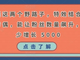 掌握这两个野路子，特效结合神奇布偶，能让粉丝数量飙升，至少增长 5000【揭秘】