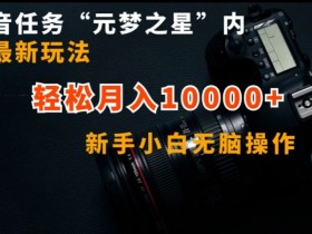 抖音任务“元梦之星”内部最新玩法，新手小白无脑操作，轻松月入10000+【揭秘】