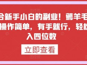 最适合新手小白的副业！薅羊毛+躺赚，操作简单，有手就行，轻松日入四位数【揭秘】