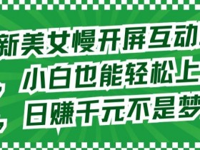 最新美女慢开屏互动攻略，小白也能轻松上手，日赚千元不是梦【揭秘】