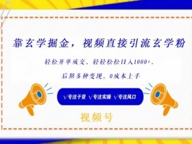 靠玄学掘金，视频直接引流玄学粉， 轻松开单成交，后期多种变现，0成本上手【揭秘】
