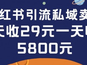 在小红书引流私域卖壁纸每张29元单日最高卖出200张(0-1搭建教程)【揭秘】