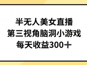 半无人美女直播，第三视角脑洞小游戏，每天收益300+【揭秘】