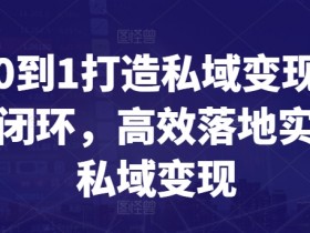 从0到1打造私域变现商业闭环，高效落地实现私域变现