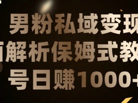 男粉私域长期靠谱的项目，经久不衰的lsp流量，日引流200+，日变现1000+【揭秘】