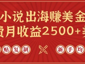 小说出海赚美金，稿费月收益2500+美金，仅需chatgpt粘贴复制，新手也能玩转【揭秘】