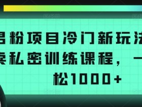 男粉项目冷门新玩法，售卖私密训练课程，一天轻松1000+【揭秘】