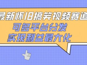 最新怀旧搞笑视频赛道，可多平台分发，实现利益最大化【揭秘】