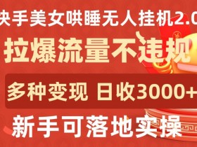 快手美女哄睡无人挂机2.0.拉爆流量不违规，多种变现途径，日收3000+，新手可落地实操【揭秘】