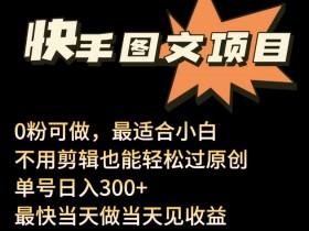 24年最新快手图文带货项目，零粉可做，不用剪辑轻松过原创单号轻松日入300+【揭秘】