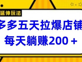 多多五天拉爆店铺，每天躺赚200+【揭秘】