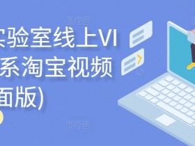 电商实验室线上VIP，淘系淘宝视频课(全面版)